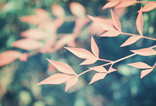 美国女足队员坚持训练备战国际比赛