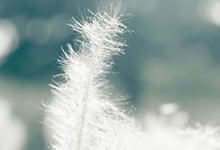 国际米兰欲在客场功成，战略谋思再升级