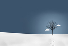 利物浦主场大胜伯恩利，继续领跑积分榜